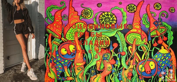 мяу мяу кристалл Магас