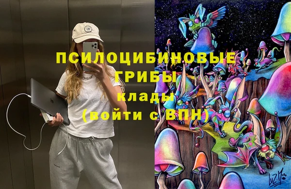 альфа пвп Алексеевка